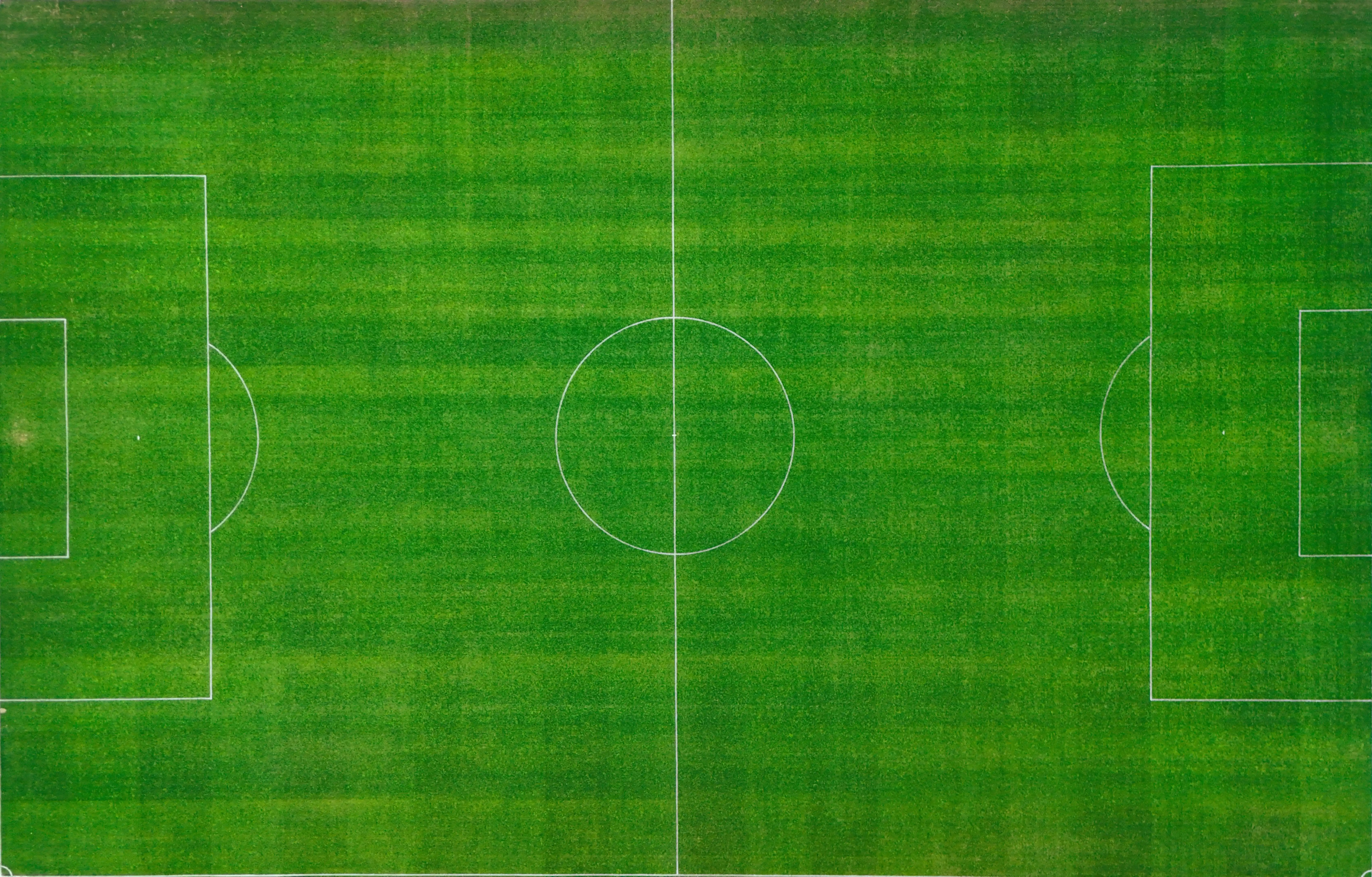 Césped de la cancha